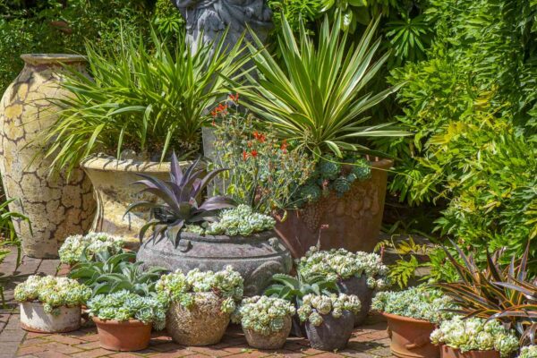How To Make The Most Of Your Garden With Multi-Tiered Containers?